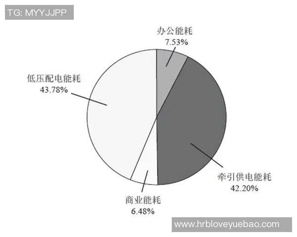 足球明星的职业生涯与健康长寿的关系探讨及其影响因素分析