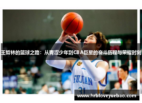 王哲林的篮球之路：从青涩少年到CBA巨星的奋斗历程与荣耀时刻